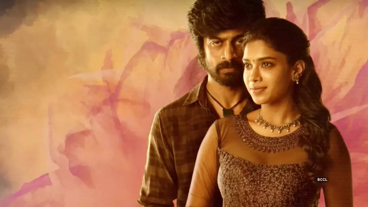 Aneethi Movie Review: Arjun Das Dushara's Terrific Performance Elevates This Well Written Emotional Thriller