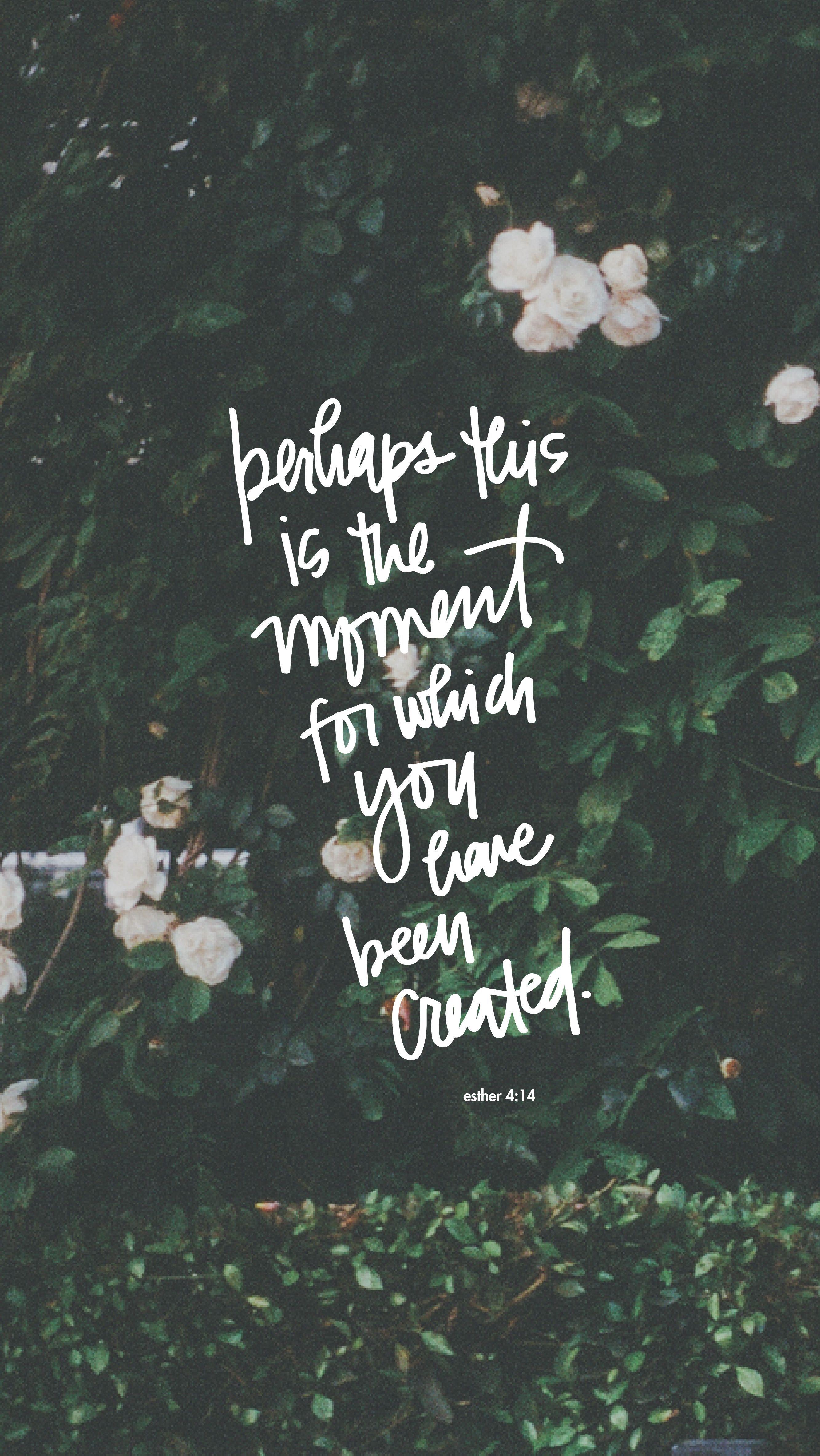 Bible Verse Phone Wallpaper