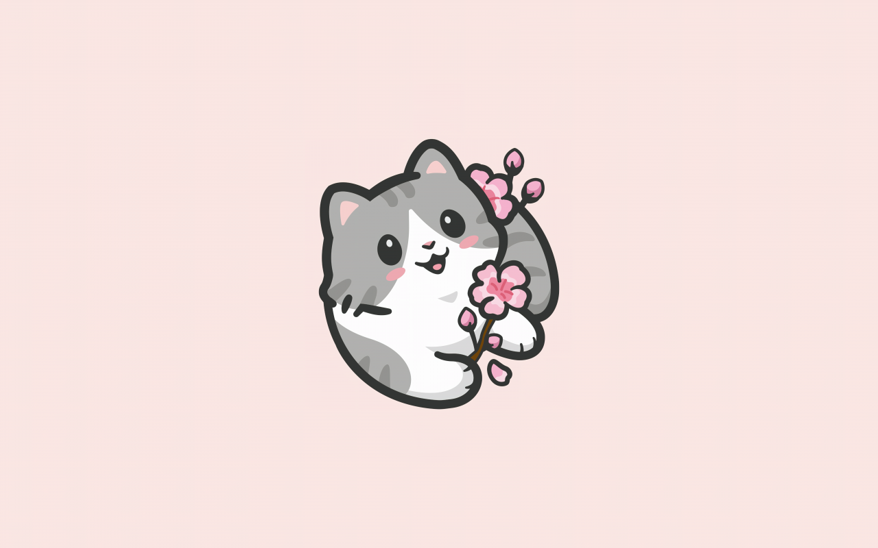 Cute Kitten Wallpaper 4K, Cute Cat, Girly background, 5K