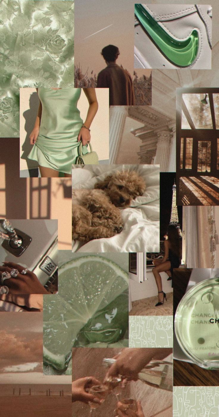 collage?. Aesthetic desktop wallpaper, Green aesthetic, Brown aesthetic