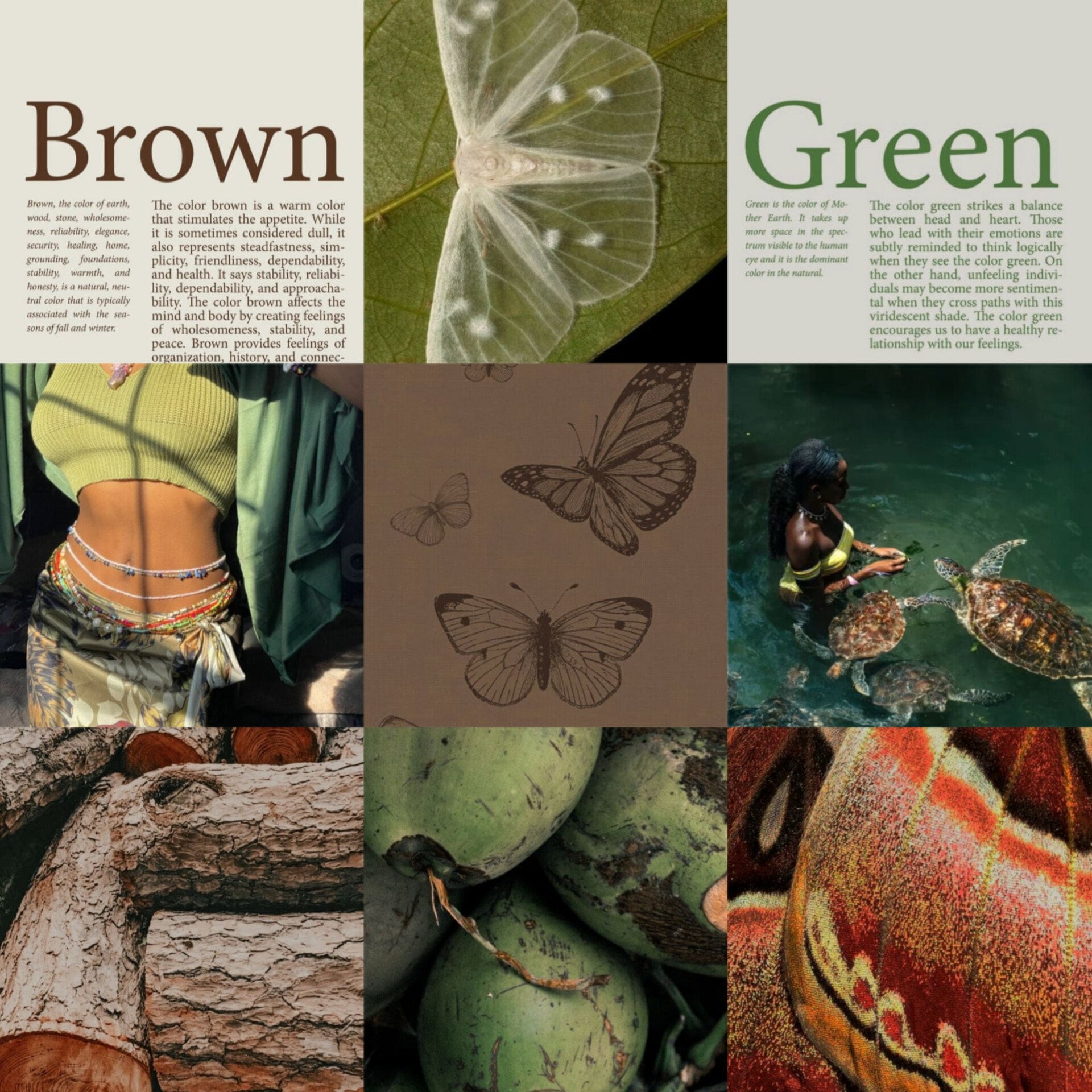 30 60 Physical Nature Aesthetic Collage Earthy Photo