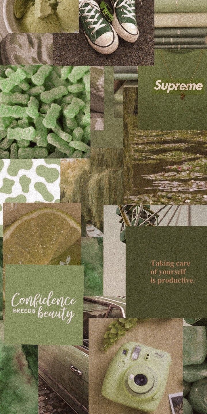 Green Aesthetic Wallpaper. Green aesthetic tumblr, Green aesthetic, Sage green wallpaper