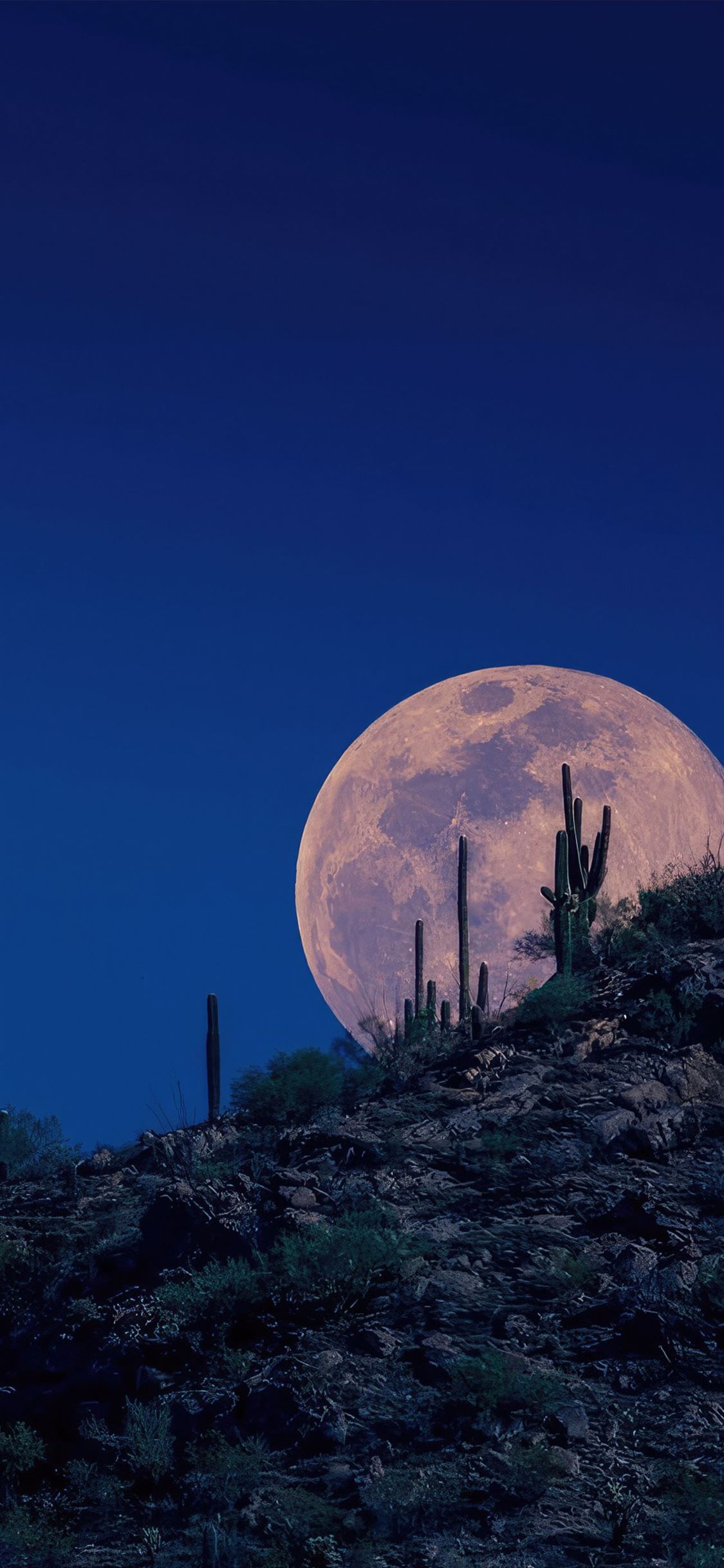 moon appears in the night sky iPhone Wallpaper Free Download