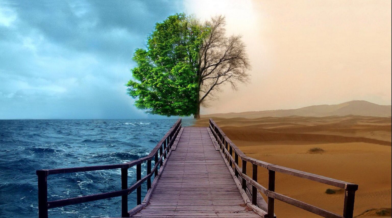 My 2 Sides. Landscape, Green nature wallpaper, Nature wallpaper