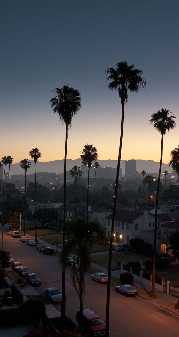 IPhone 6 6S Wallpaper. Los Angeles Wallpaper, Los Angeles Palm Trees, City Landscape