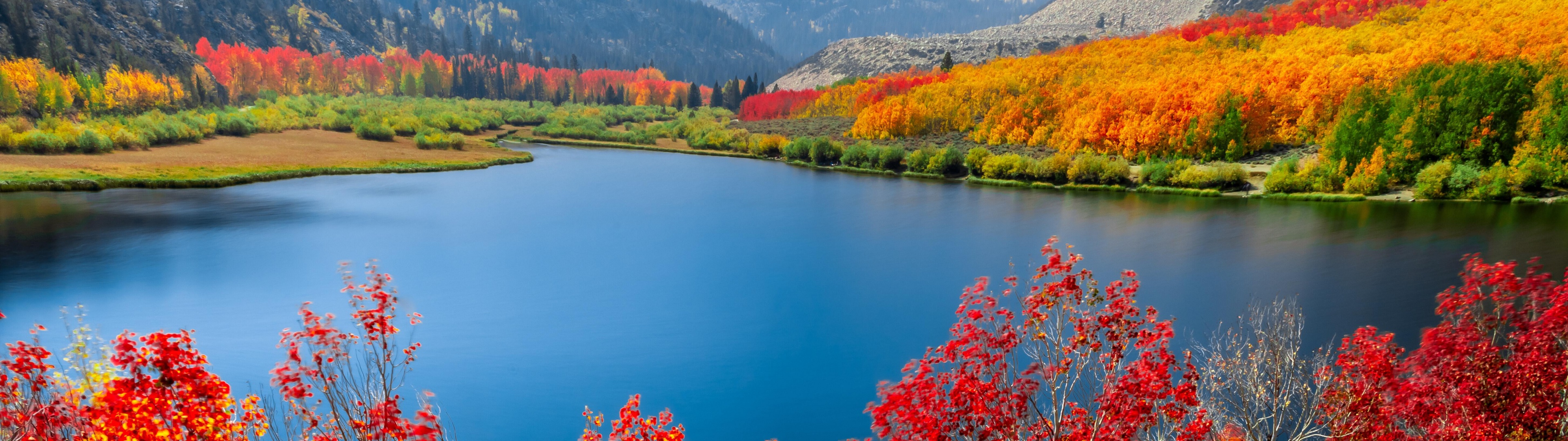 Autumn trees Wallpaper 4K, Lake
