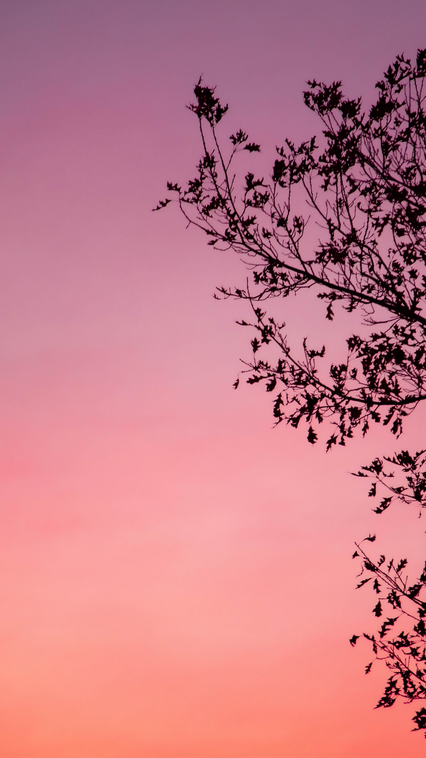 Autumn Phone Wallpaper