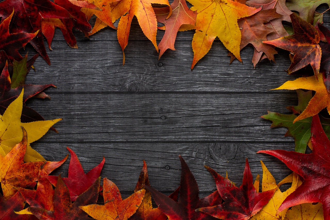 Autumn Leaves Border