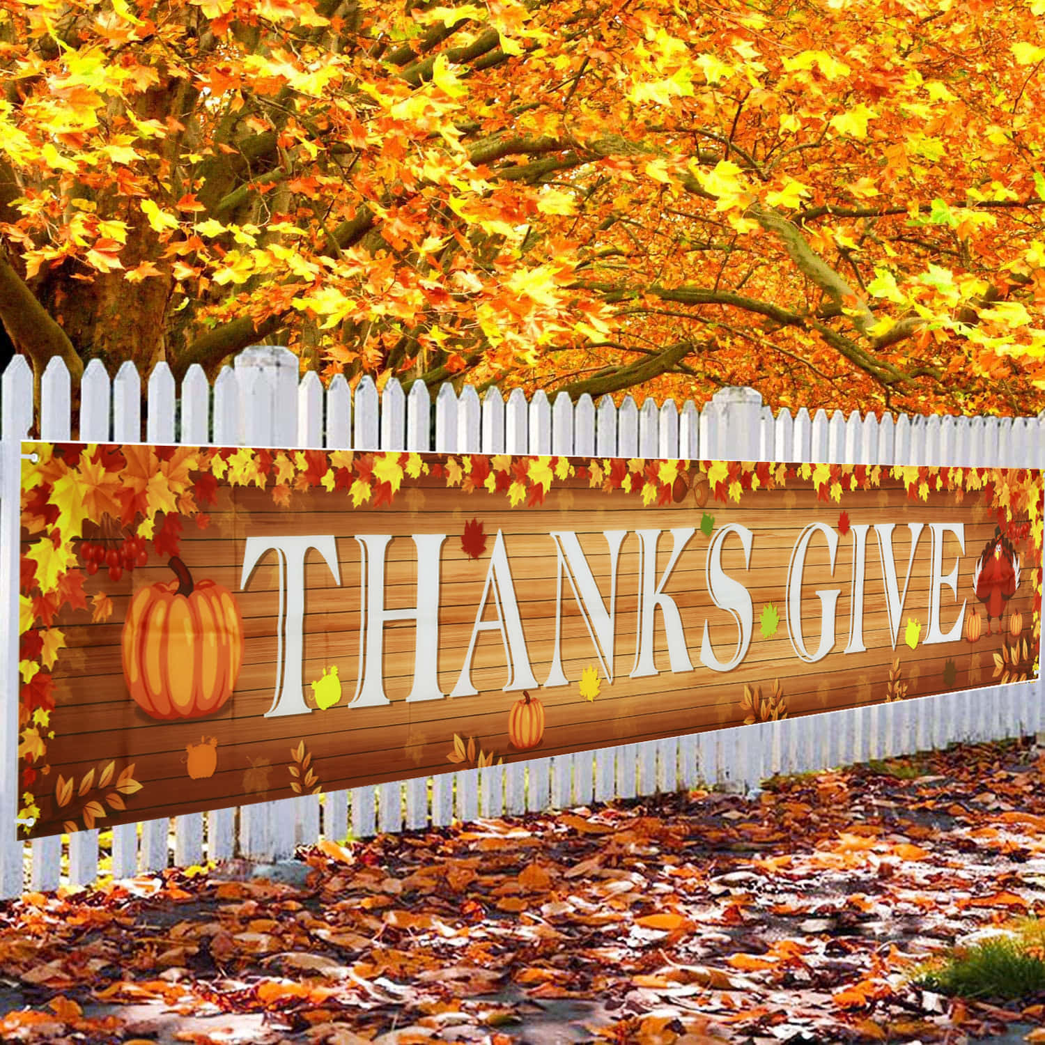 Download Embracing the Beauty of First Day of Fall Wallpaper