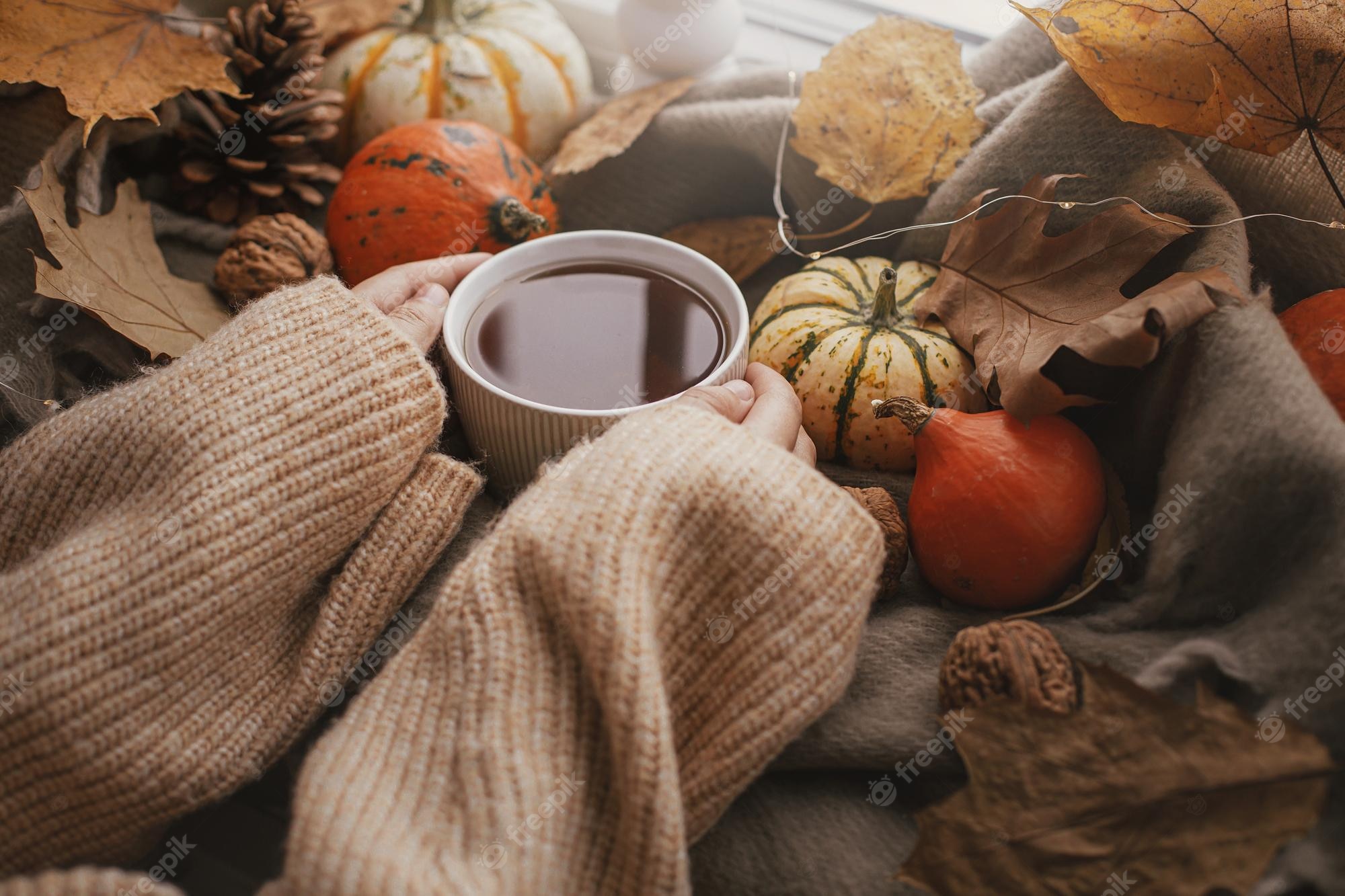 Cozy Autumn Aesthetic Wallpaper Image