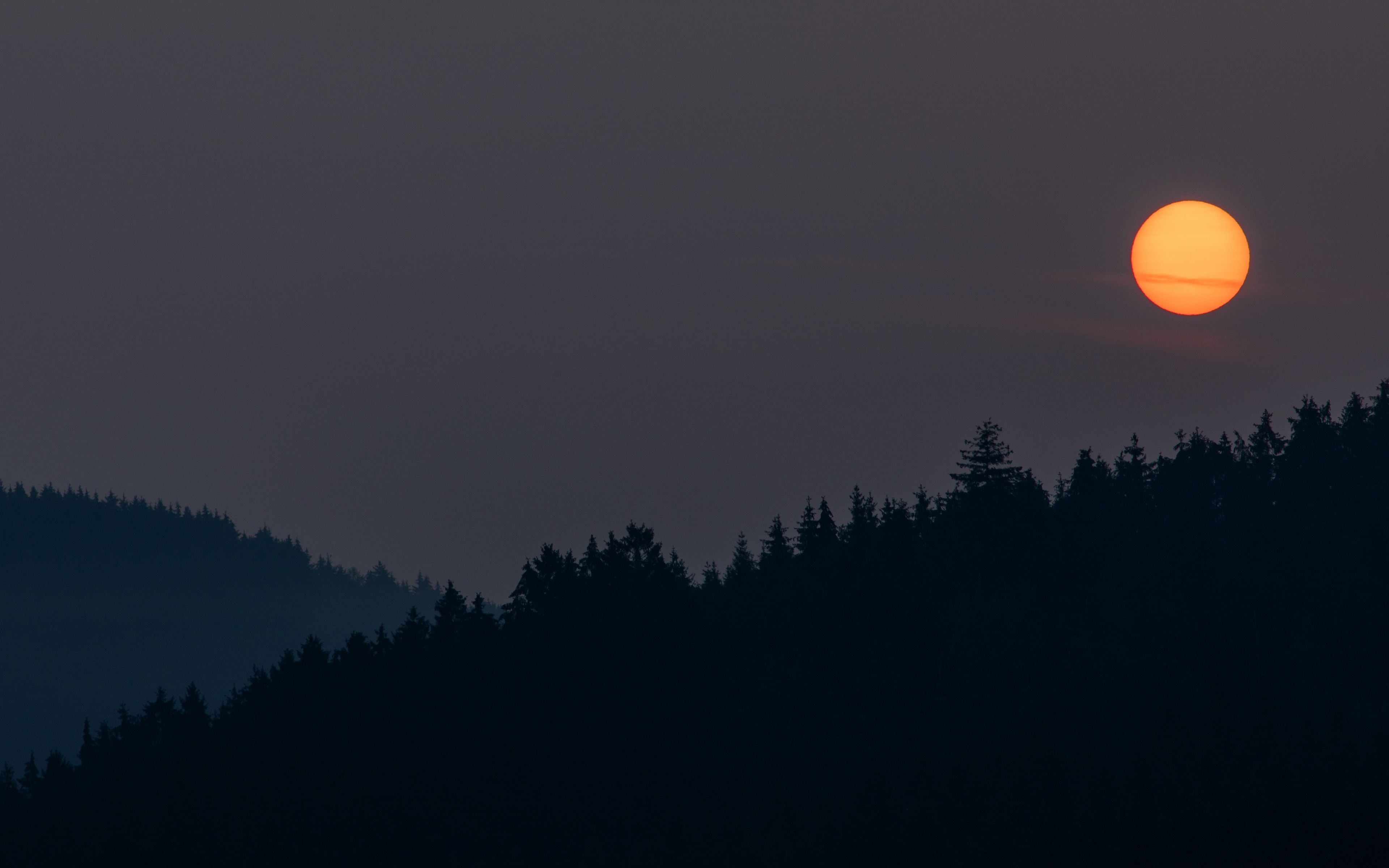 wallpaper 3840x2400 night, moon, forest