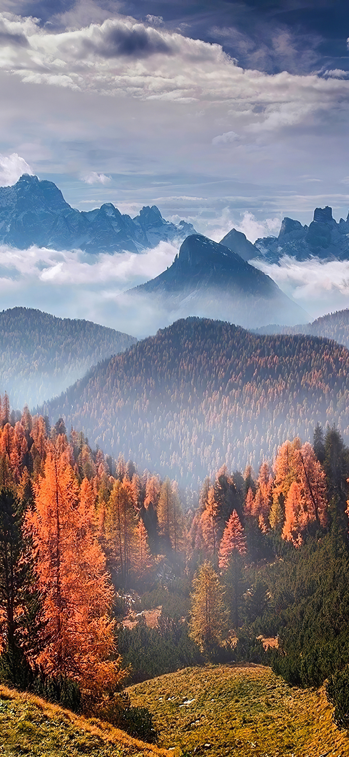 Forest Landscape Clouds 4k iPhone XS, iPhone 10, iPhone X HD 4k Wallpaper, Image, Background, Photo and Picture