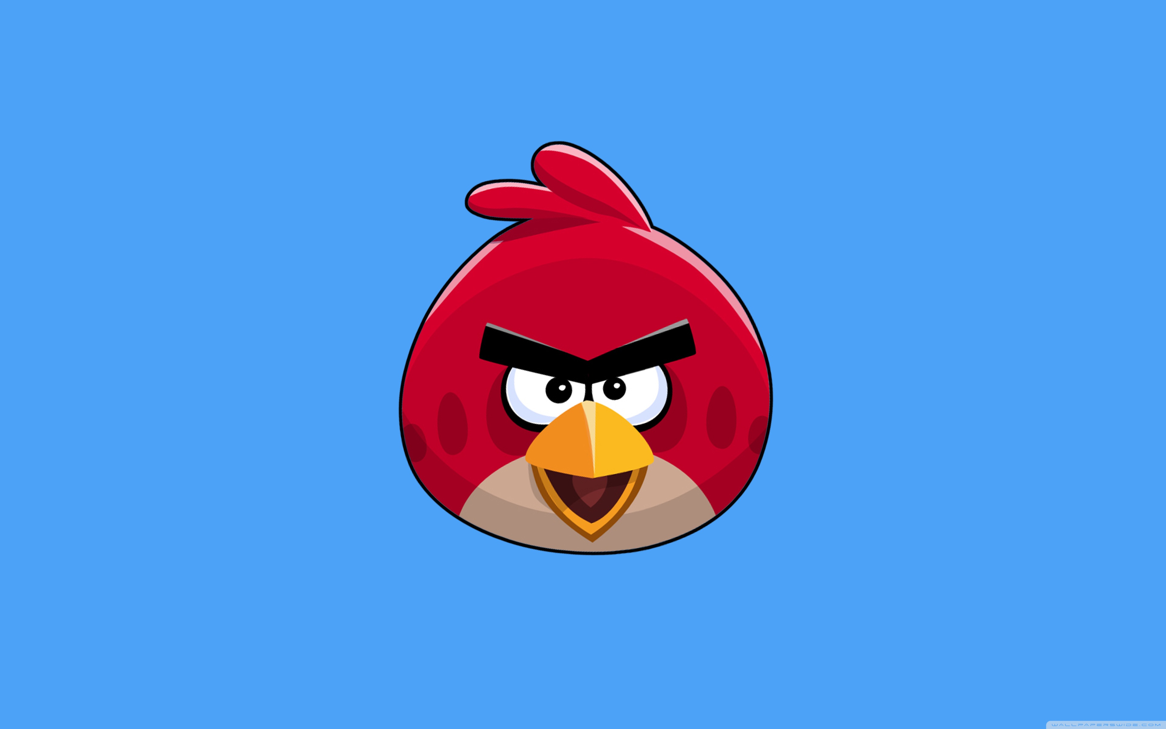 Angry Bird Ultra HD Wallpaper for 4K