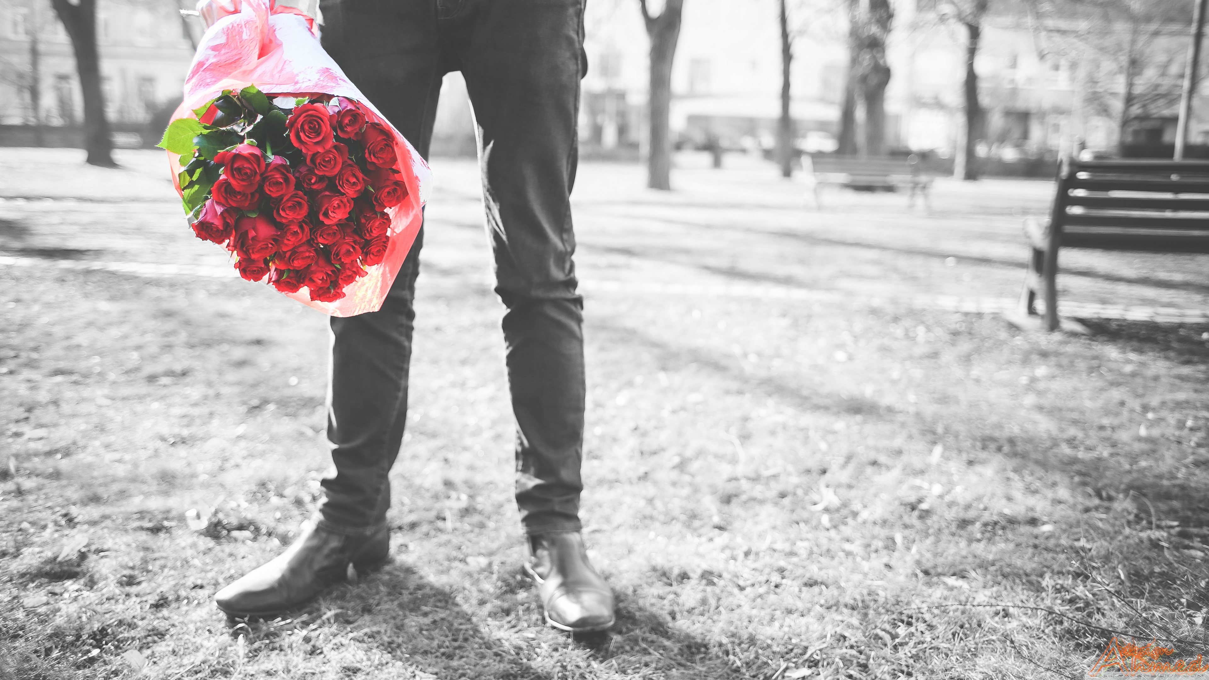 Romance Ultra HD Desktop Background Wallpaper for 4K UHD TV, Widescreen & UltraWide Desktop & Laptop, Tablet