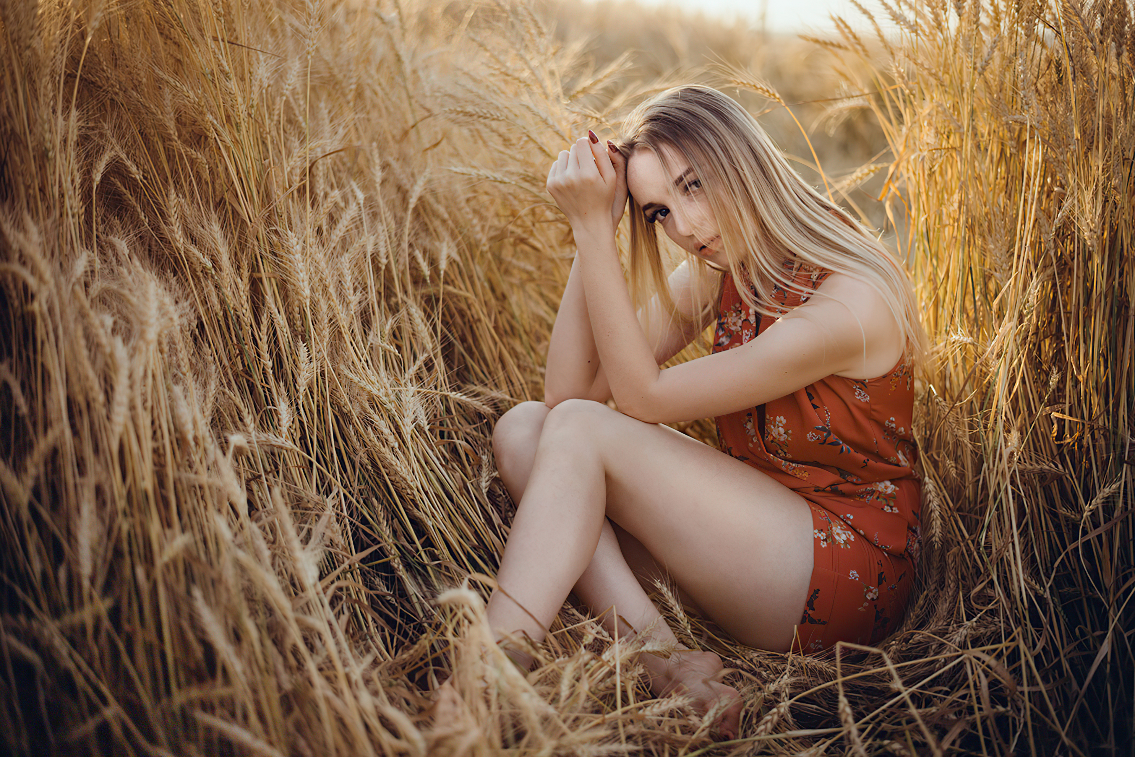 Blonde Girl Wheat Field 4k, HD Girls, 4k Wallpaper, Image, Background, Photo and Picture