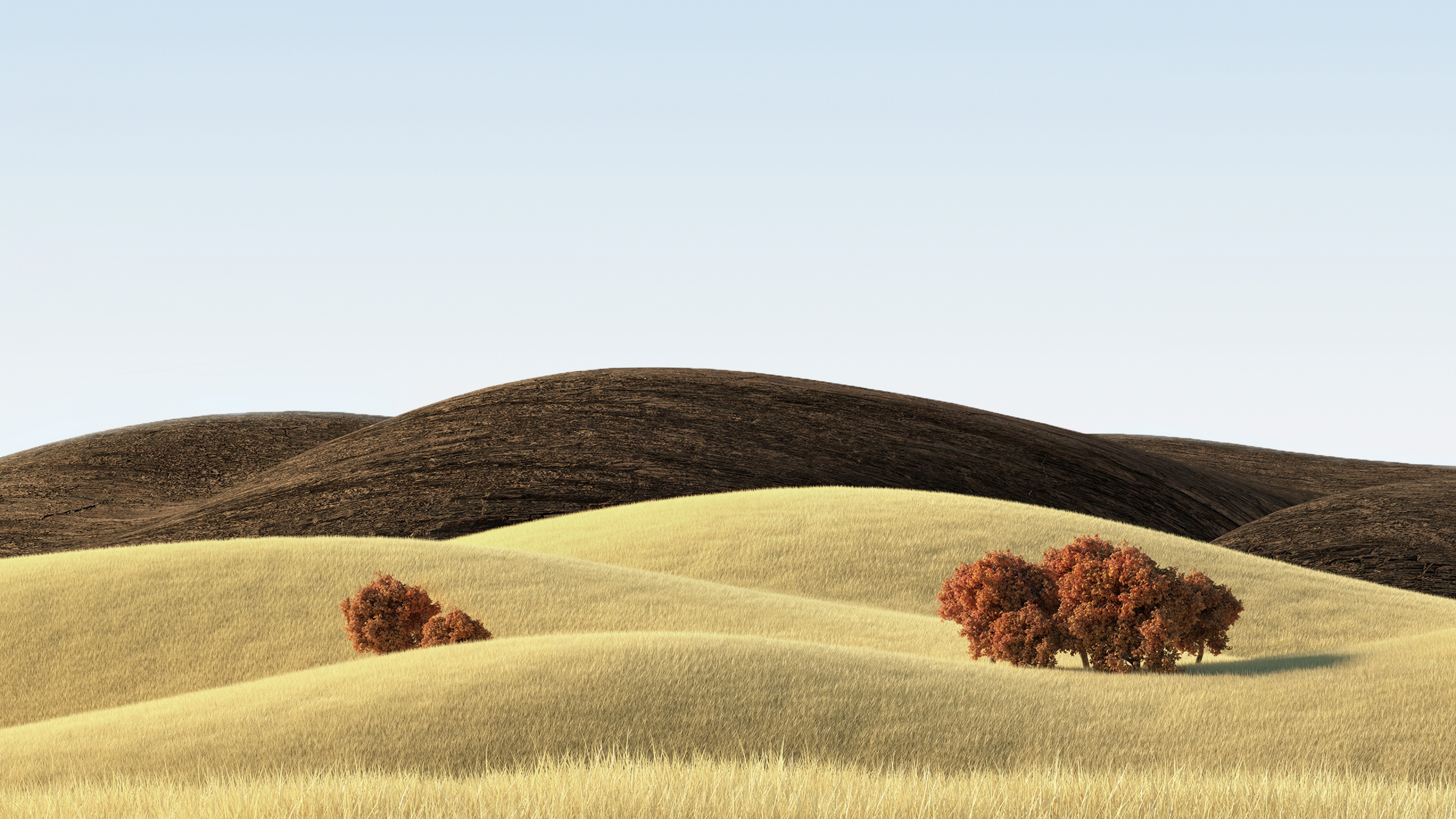Landscape Wallpaper 4K, Countryside, Wheat field
