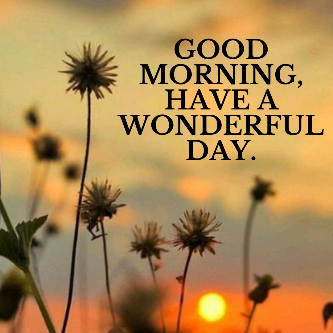 HTML Pro Morning, have a wonderful day