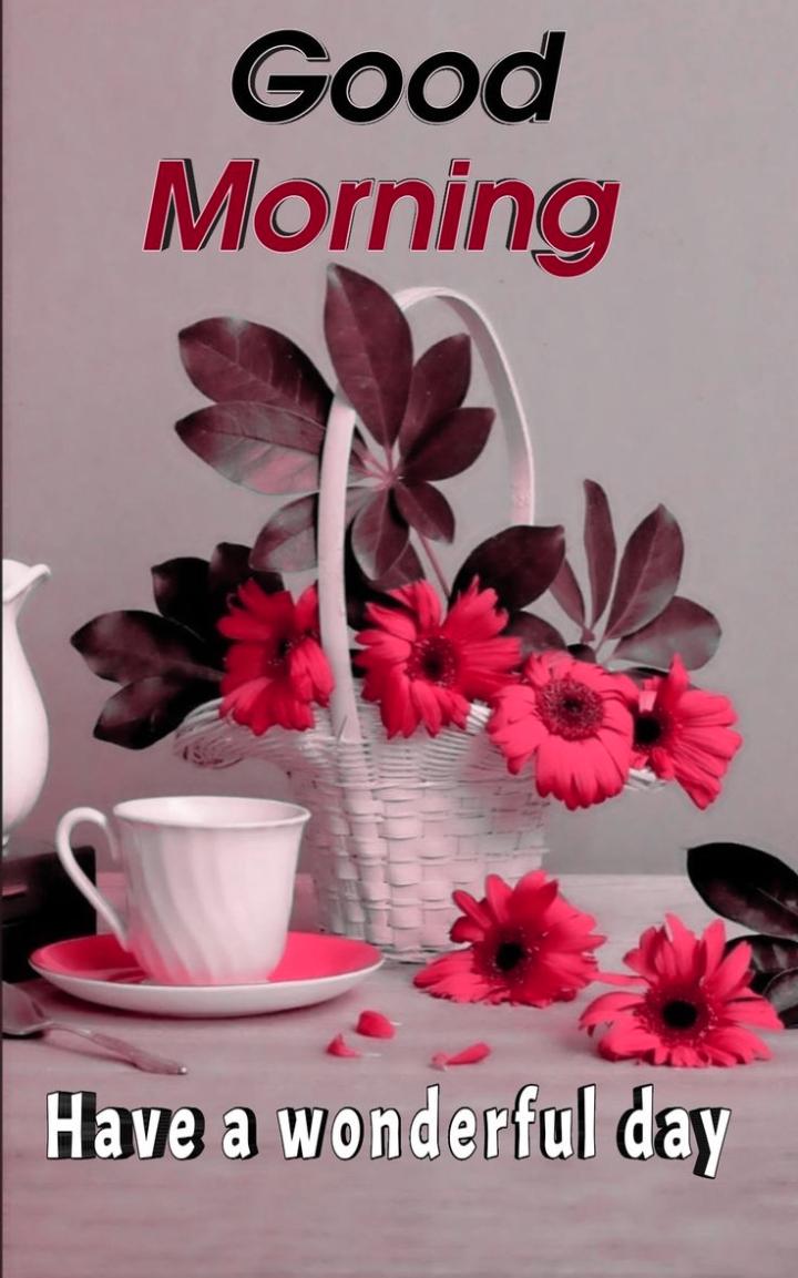 good morning have a wonderful day Image