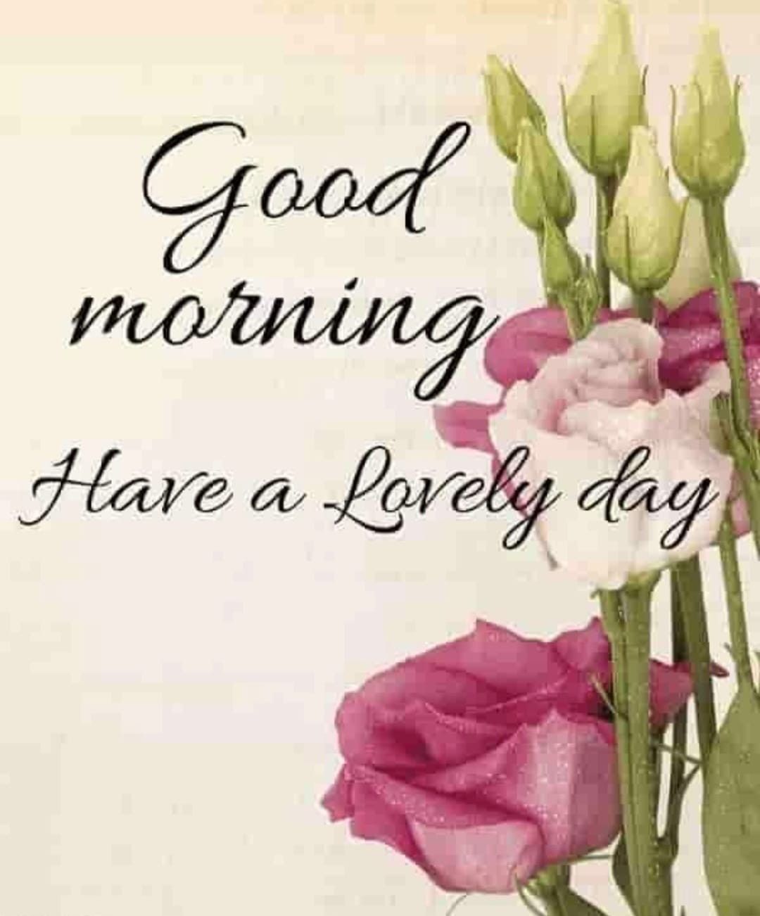 Good Morning. Good morning image hd, Good morning wishes, Good morning roses