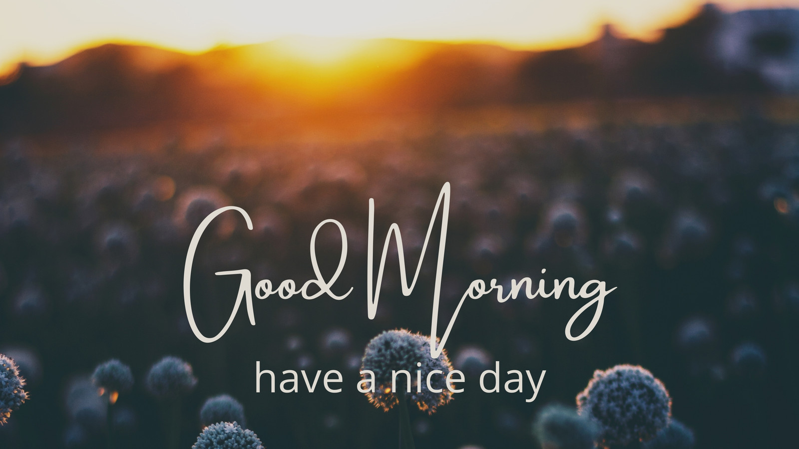 good morning wallpaper