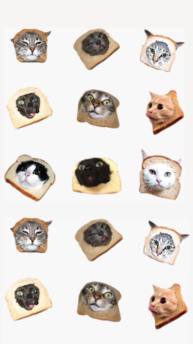 Cat wallpaper. Wallpaper iphone cute, Cute stickers, Cute wallpaper