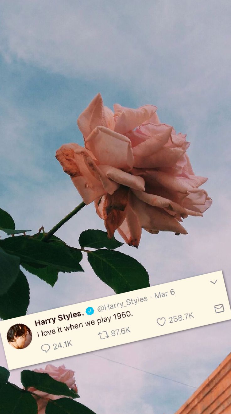 Aesthetic wallpaper. Landscape wallpaper, Landscape illustration, Aesthetic wallpaper