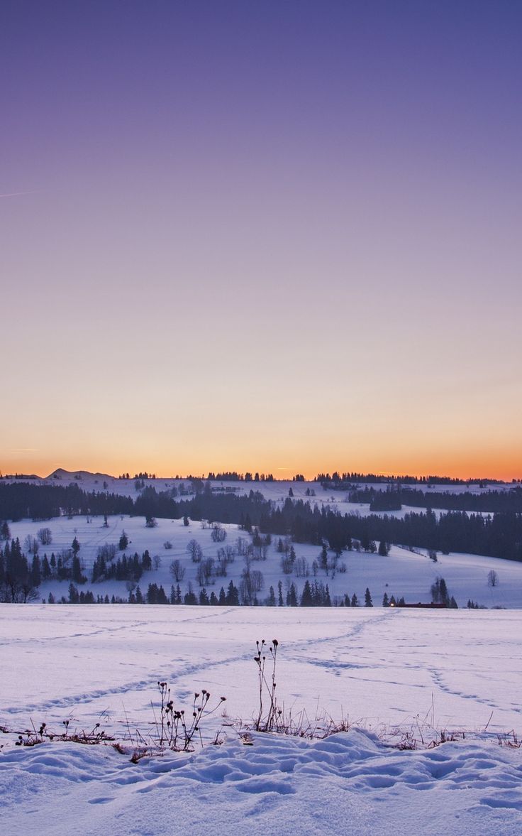 Wallpaper winter snow field sunset