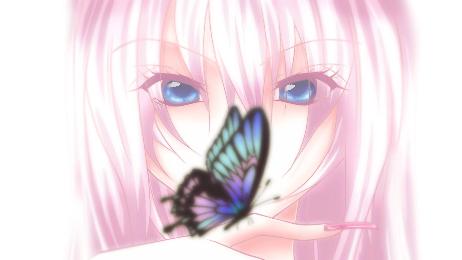 Download Blue Butterfly Anime Wallpaper