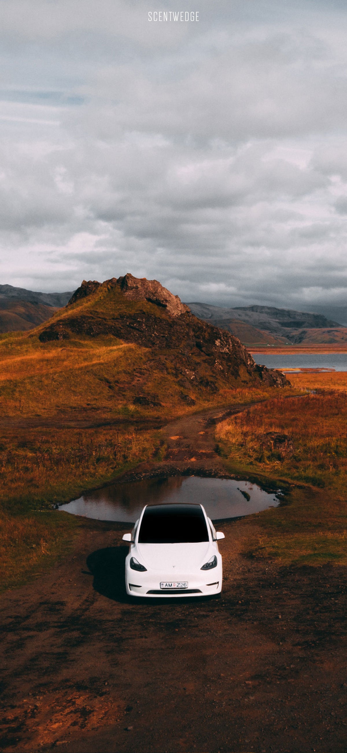 Model 3 Wallpaper