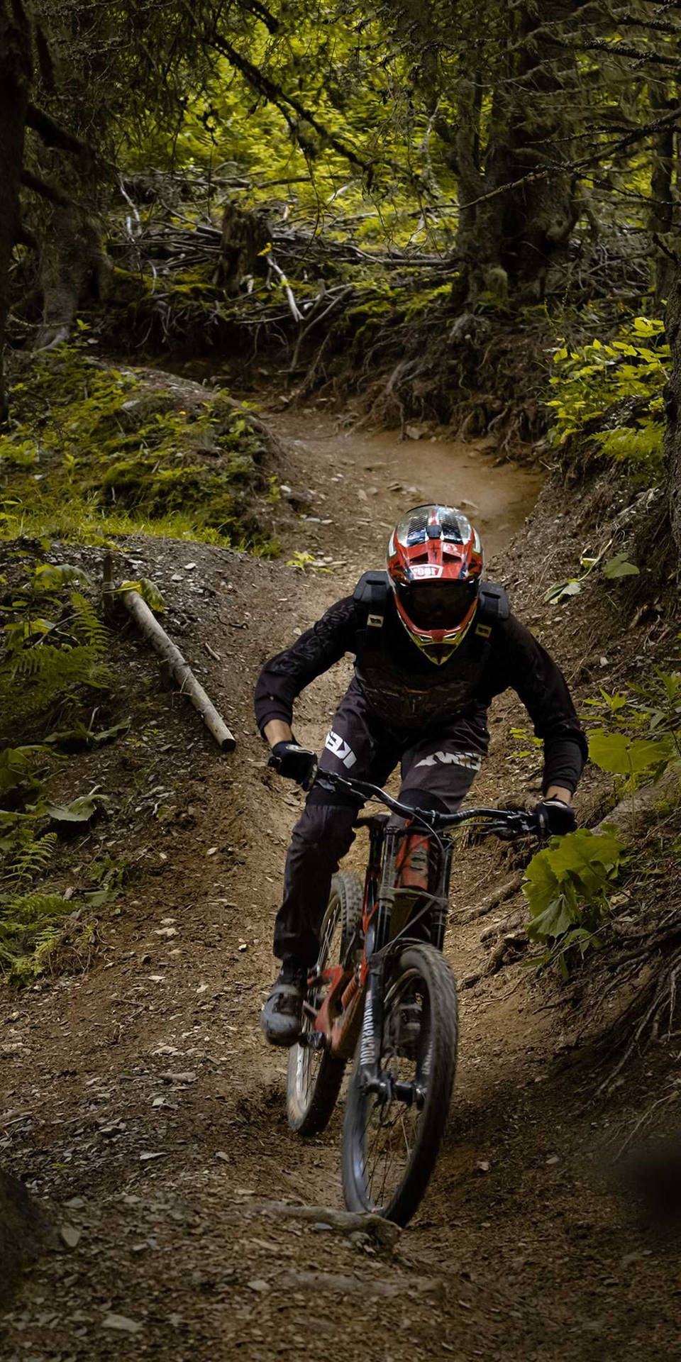 Download 4k Mountain Bike Vignette