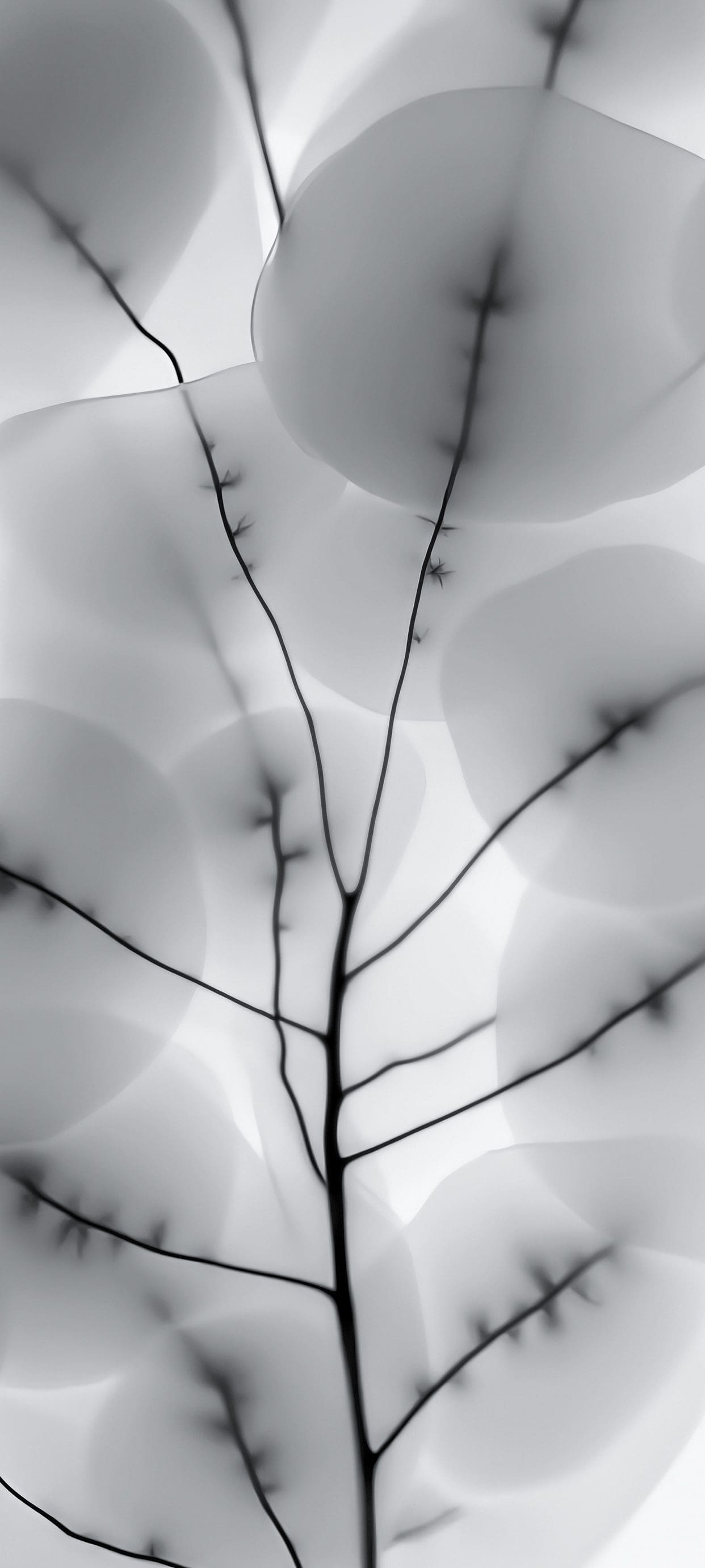 Cool Nothing Phone 2 Wallpaper 4K