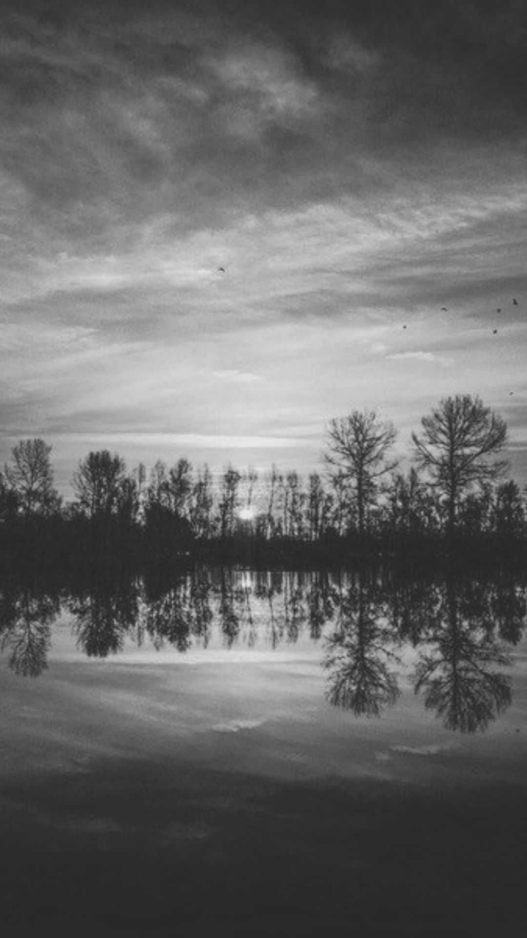 Black and White Wallpaper