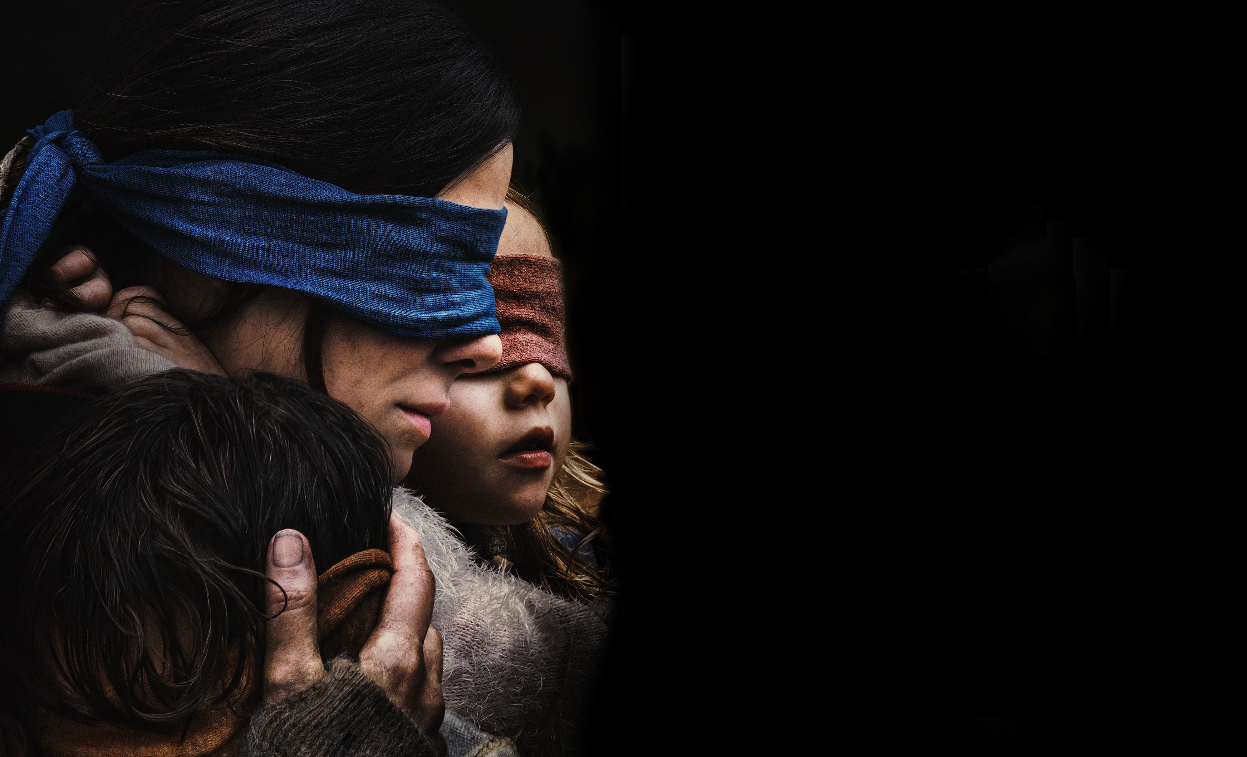 bird box 1080P, 2k, 4k Full HD Wallpaper, Background Free Download