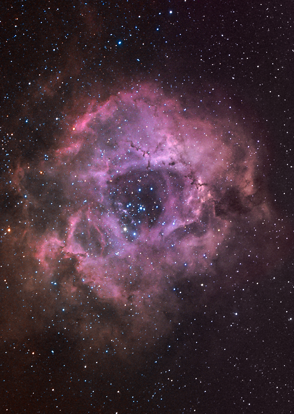 The Rosette Nebula (or The Skull). Deography by Dylan O'Donnell
