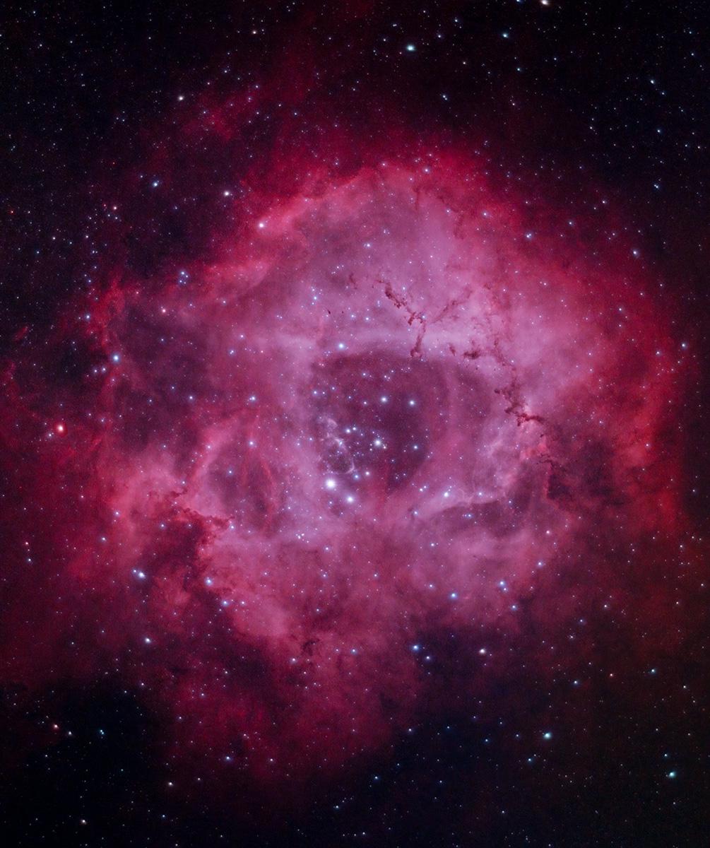 The Rosette Nebula aka Skull Nebula as my small telescope and camera see it