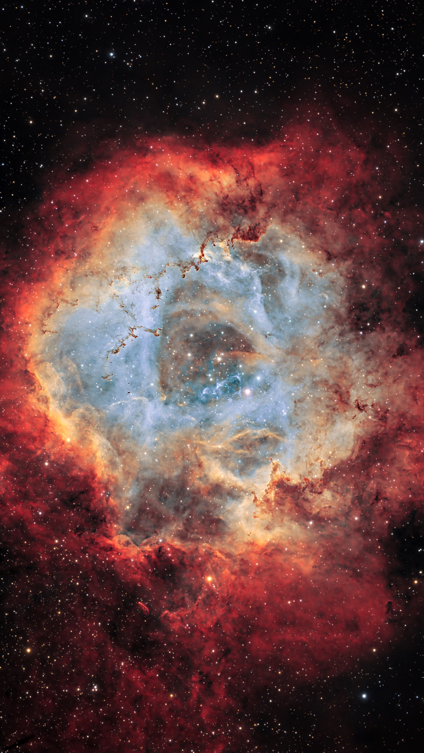 Rosette Nebula Wallpaper 4K, Milky Way, Galaxy, Stars, 5K