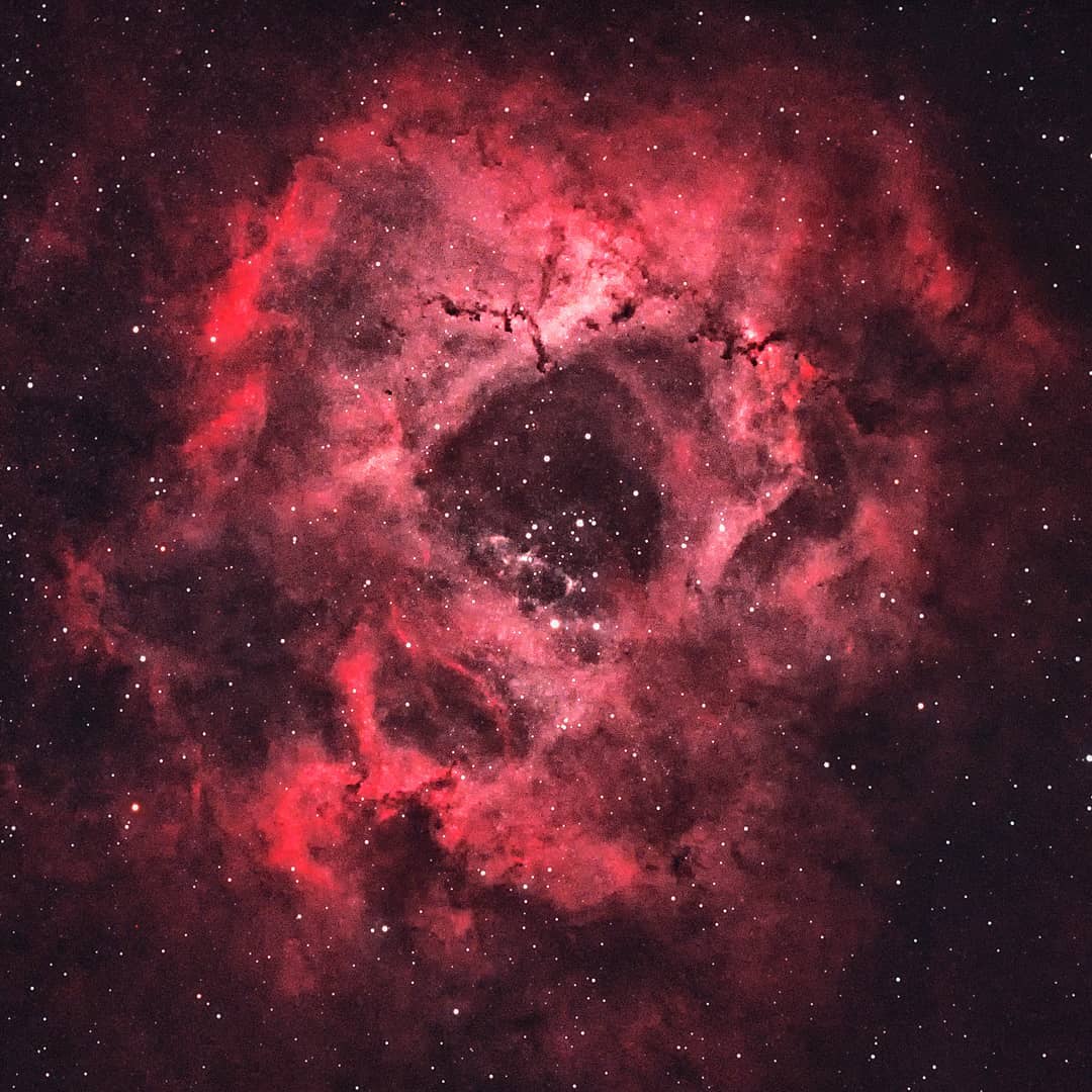 The Rosette Nebula (NGC 2244)
