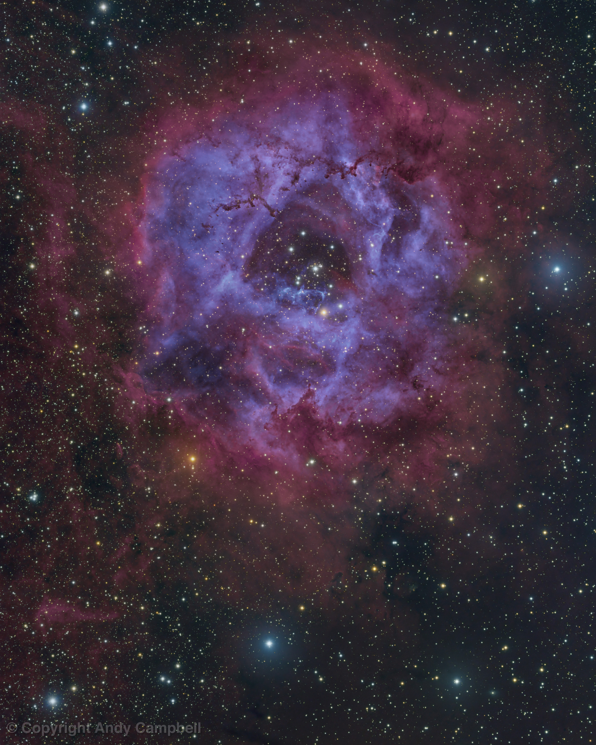 The Flaming Skull Nebula. Andy's Astropix %