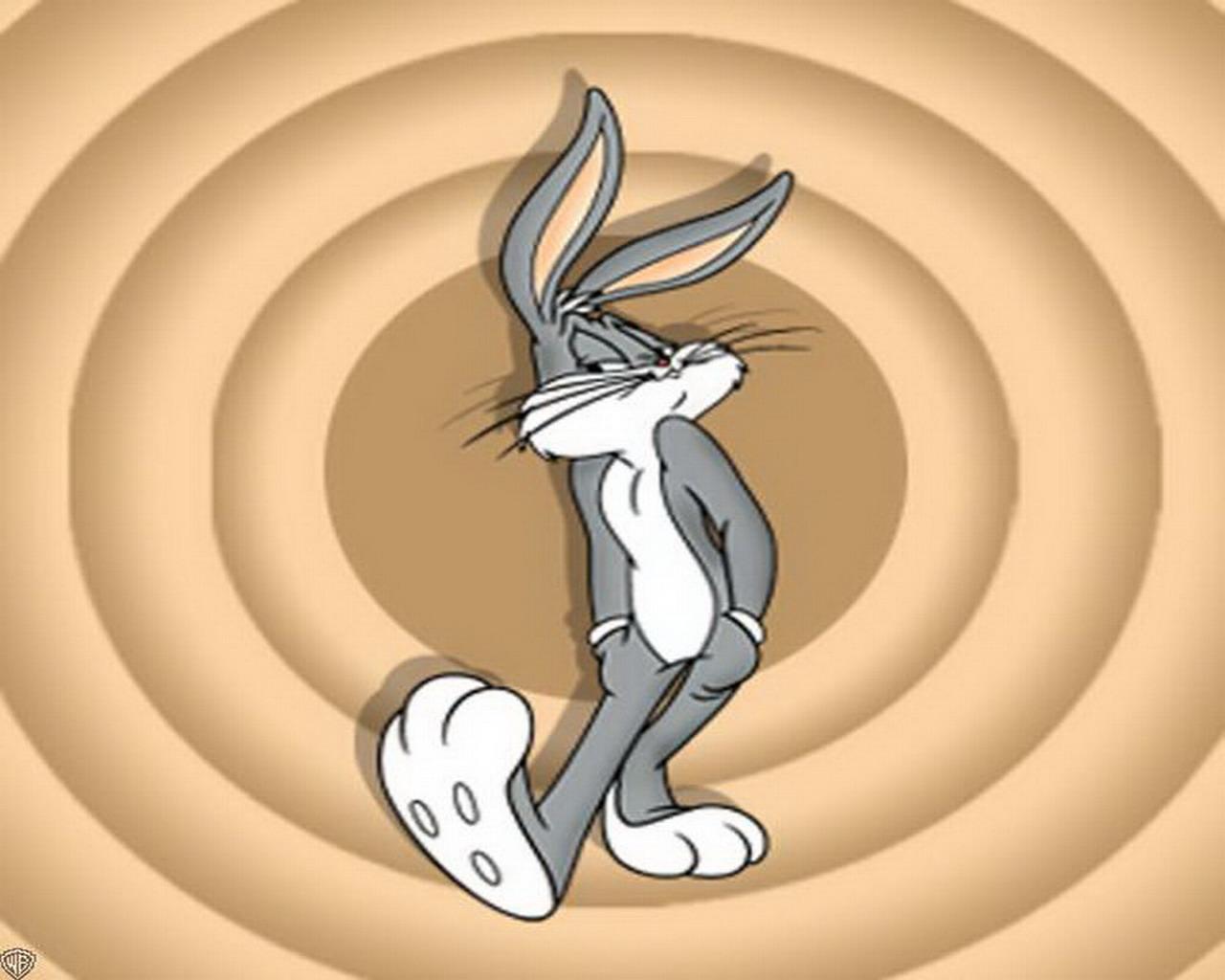 Looney Tunes Bunny Wallpaper Wallpaper 7877