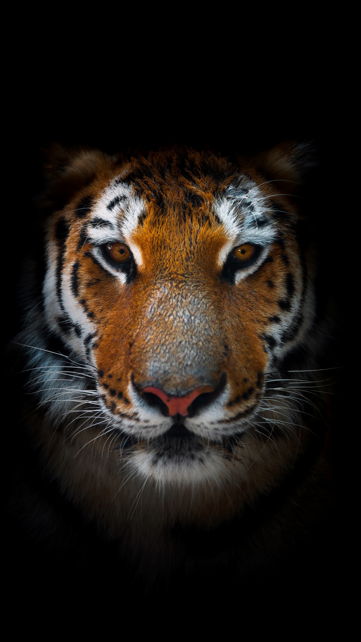 Update more than 81 tiger iphone 7 wallpaper super hot