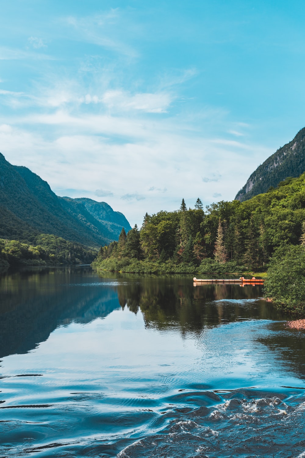 Lake and trees photo