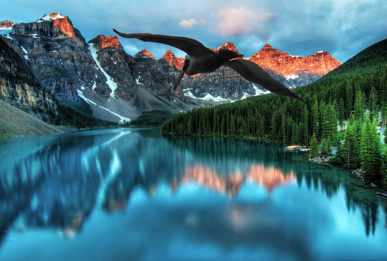 Mountains Lake Trees