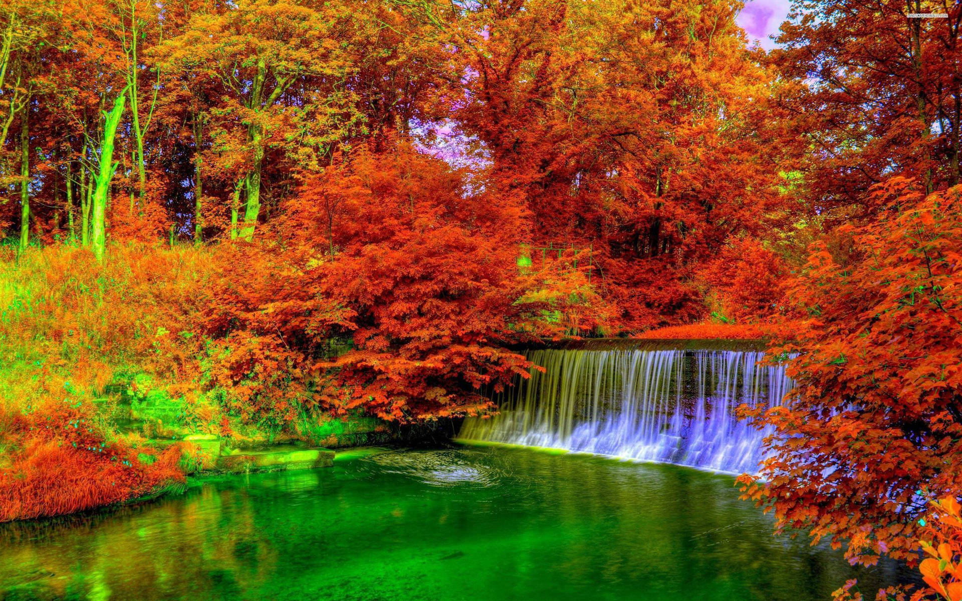 Download Autumn Season Vivid Hues Wallpaper