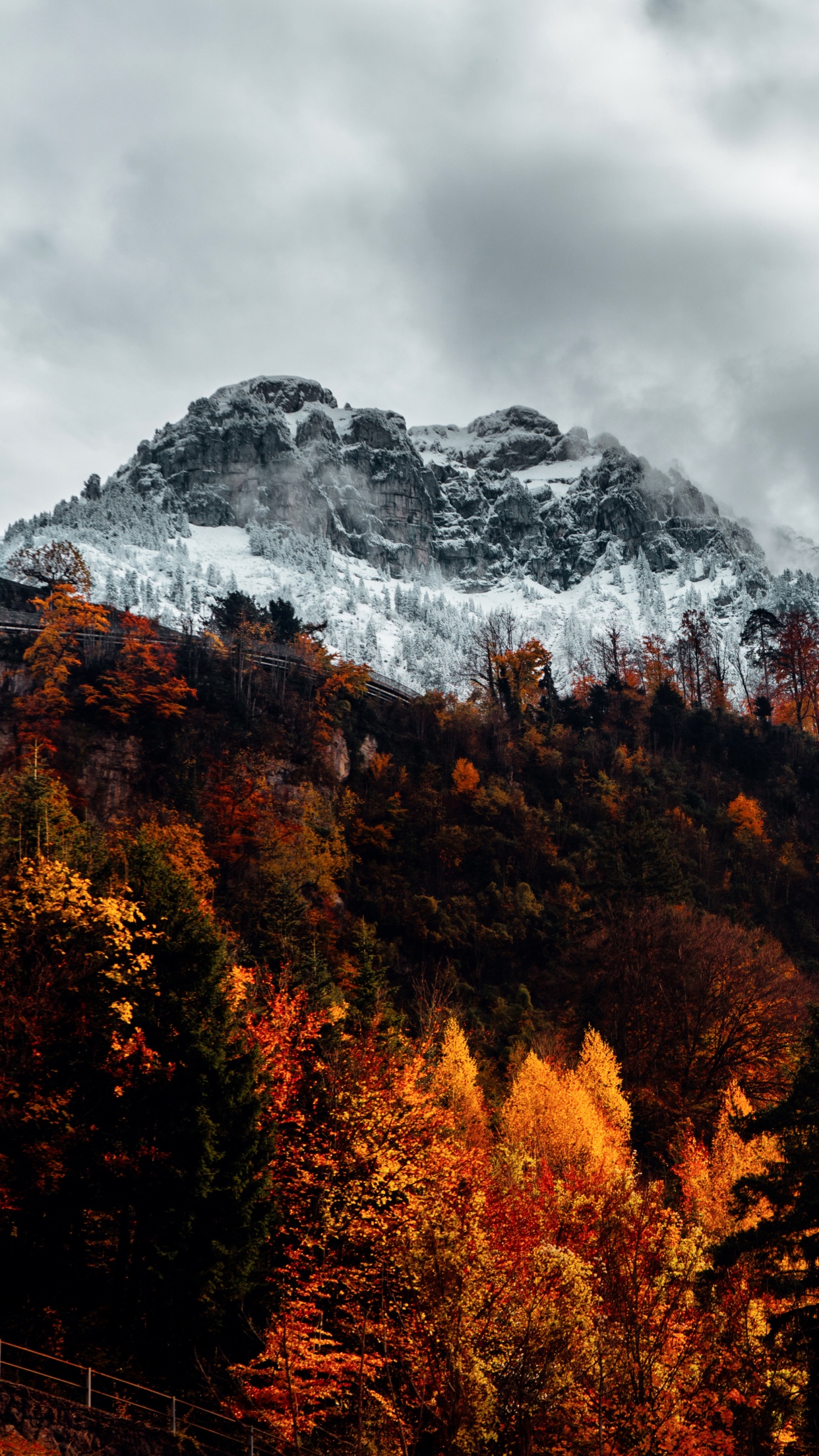 Alps Wallpaper 4K, Autumn, mountains, Forest