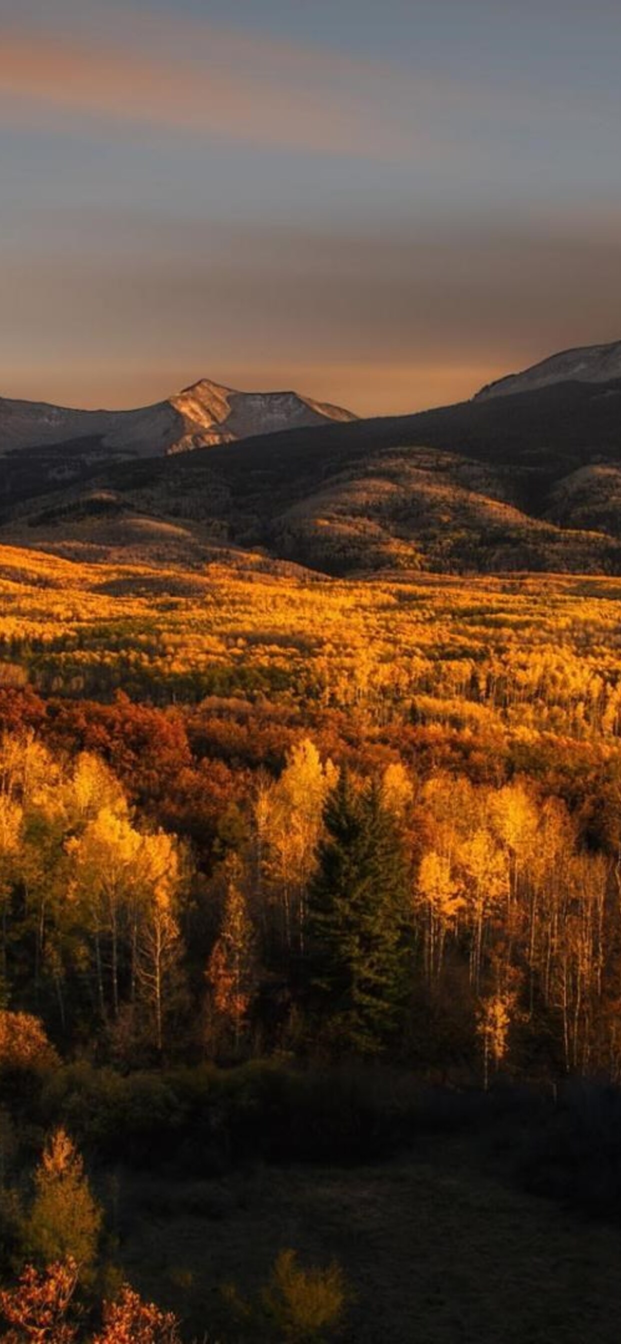 Nature Mountains Autumn iPhone XS MAX HD 4k Wallpaper, Image, Background, Photo and Picture