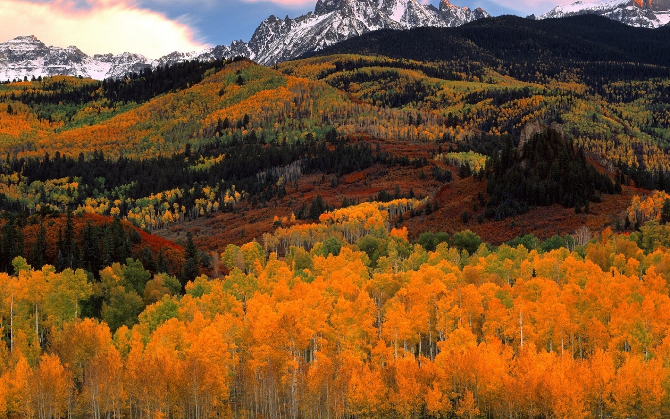 Wallpaper Yellow and Green Trees Near Mountain Under White Clouds During Daytime, Background Free Image