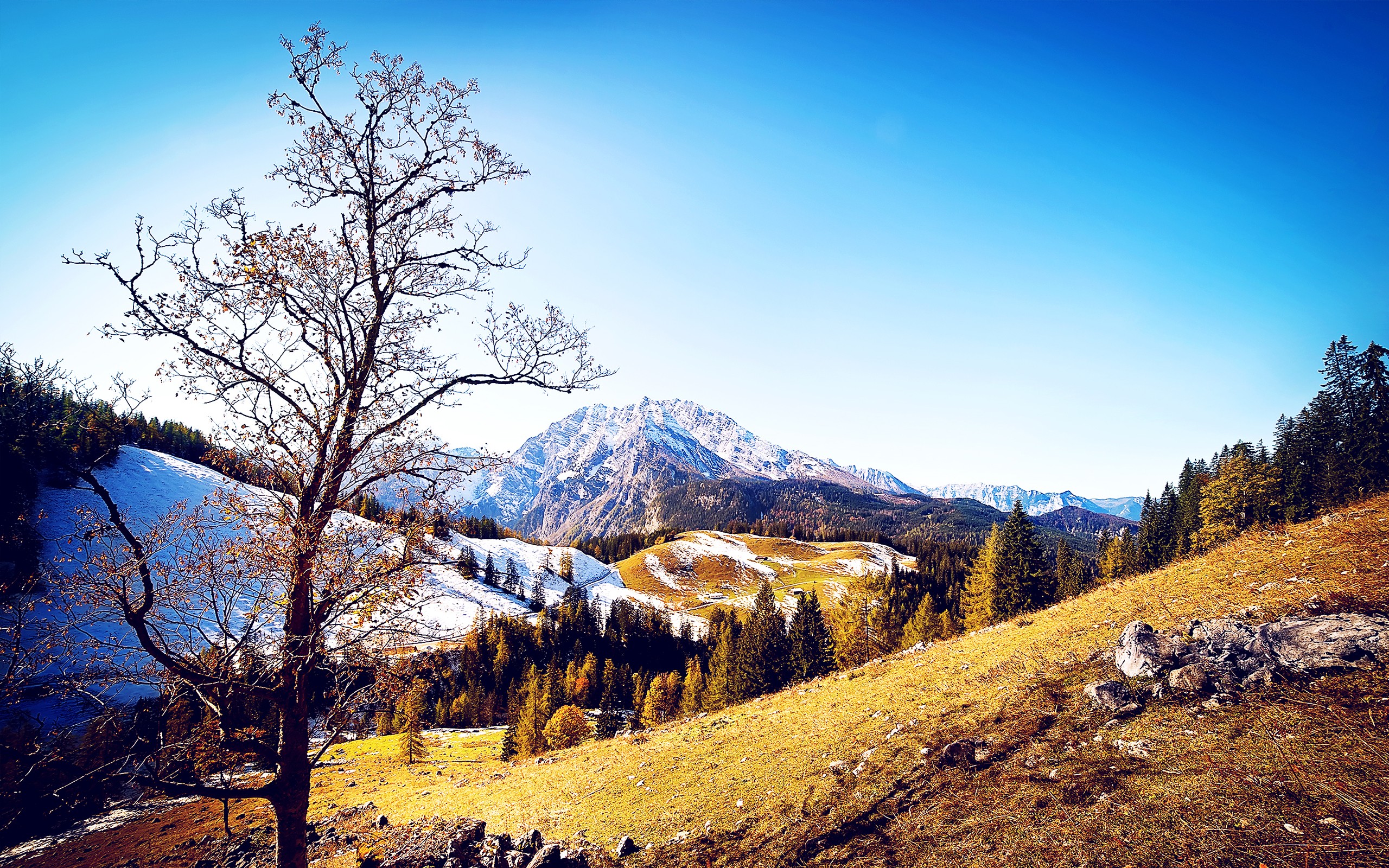 Autumn Mountains, HD Nature, 4k Wallpaper, Image, Background, Photo and Picture