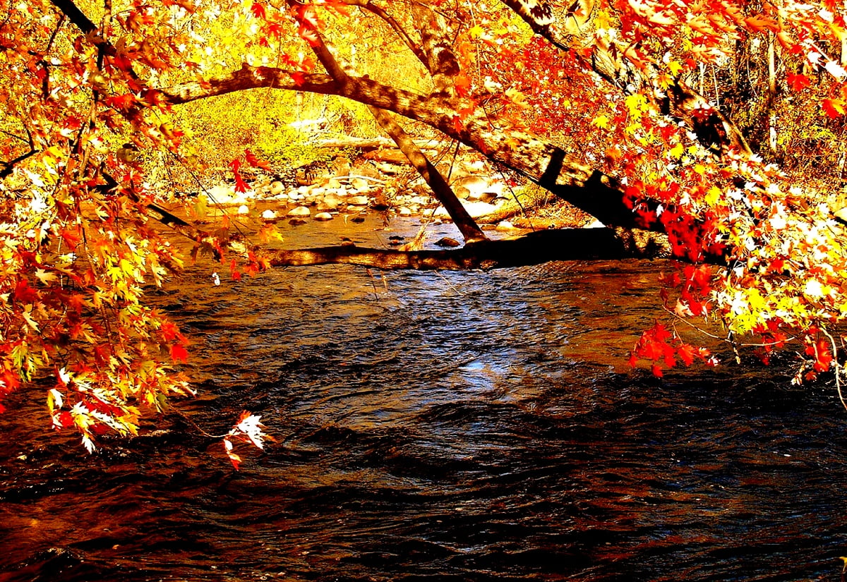 River, Nature, Autumn wallpaper. Download Free pics