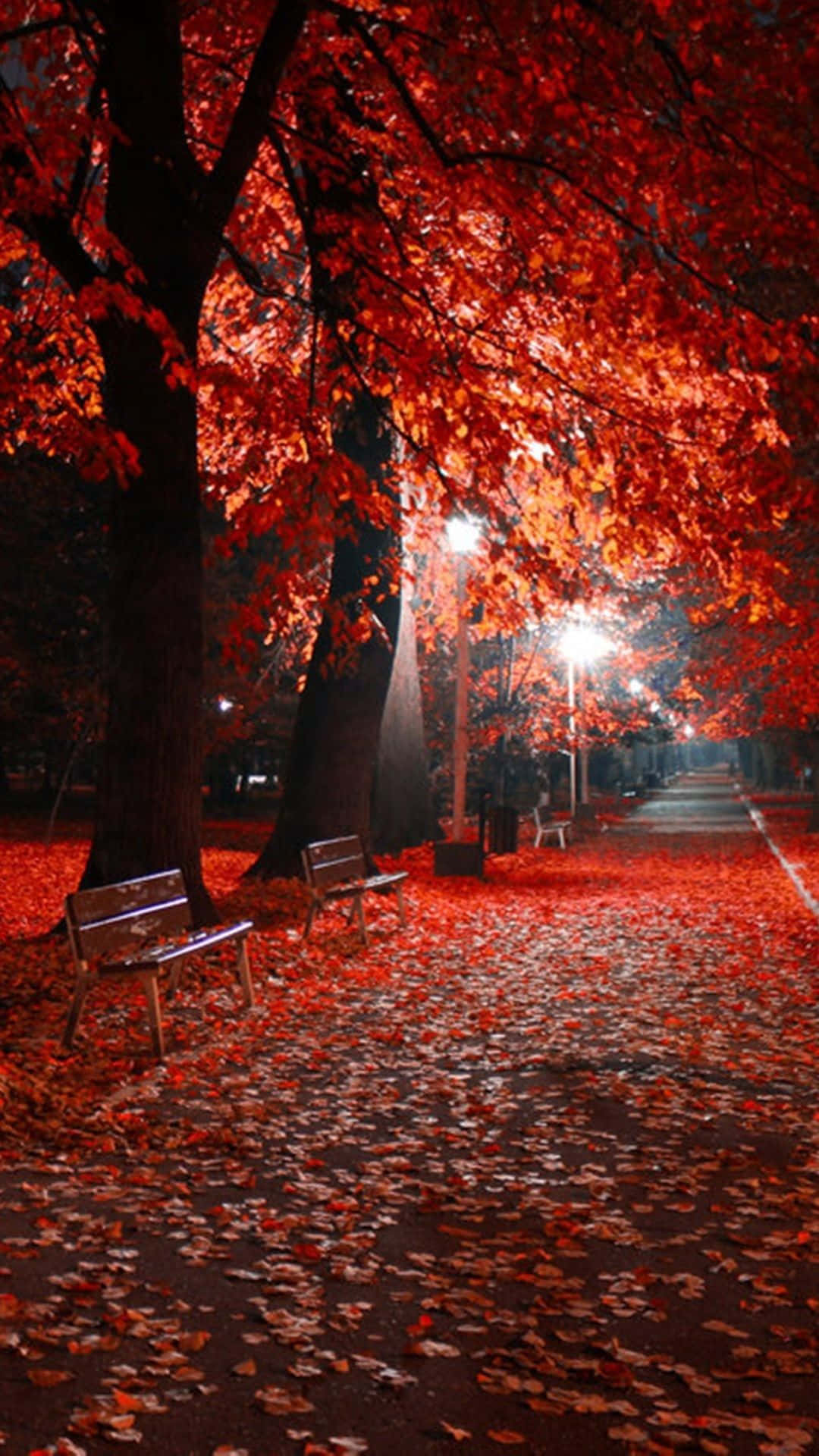 Beautiful Fall iPhone Wallpaper