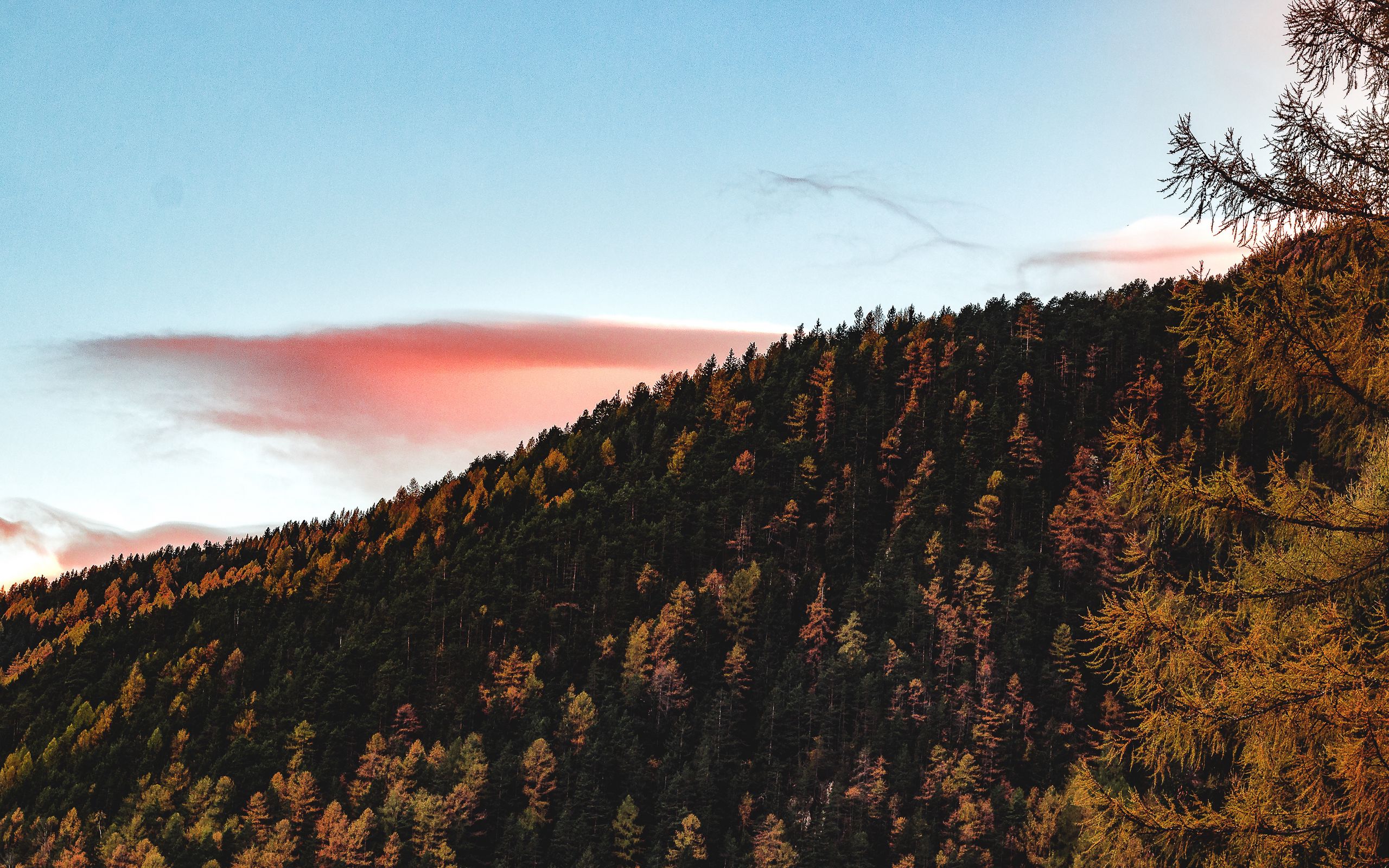 Download wallpaper 2560x1600 trees, sky, autumn, hill widescreen 16:10 HD background